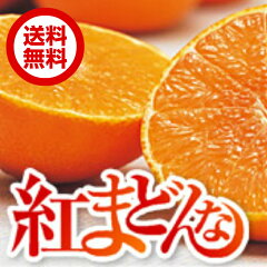 愛媛生まれの新柑橘で、ゼリーのような新食感！【紅まどんな】【送料無料】 紅まどんな 約2.7kg...