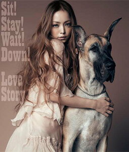 【送料無料選択可！】Sit!Stay!Wait!Down! / Love Story [CD+DVD] / 安室奈美恵