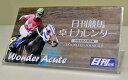 南関東公営競馬開催日程入り2013年度南関東版日刊競馬卓上カレンダー（ケースあり）