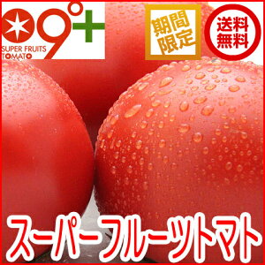 お買い得！【スーパーフルーツトマト】(大箱18〜28玉 約2.8kg)糖度9度以上（トマト/フ…