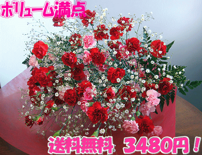 母の日ギフト人気の花束母の日　ボリューム満点カーネーション花束送料無料