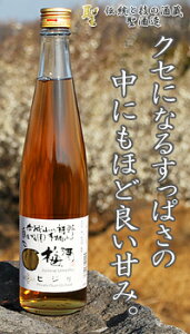 ヒジリ 純米梅酒 500ml