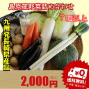 長崎県島原半島でとれた新鮮な野菜セットをそのまま食卓へ届けます送料無料 九州発 島原産野菜...