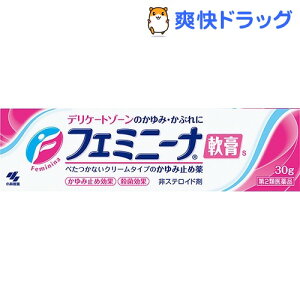 【第2類医薬品】小林製薬 フェミニーナ軟膏S(30g)【フェミニーナ】