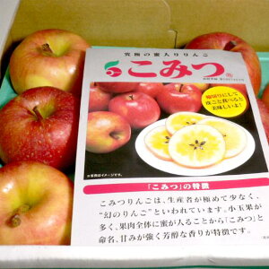 数量限定☆送料無料！「蜜入りりんご」青森産　こみつりんご2kg　小玉　11個入り甘いりんご　林…
