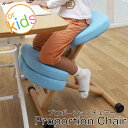 送料無料 椅子 子供　部屋　バランスチェア　キッズ プロポーションチェア 姿勢が良くなるイス ...