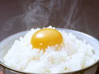 烏骨鶏の希少な卵は、コクがあって滋養も豊富。最高級の卵です。【金沢の烏骨鶏卵】【送料無料...