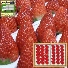 静岡生まれの極上イチゴ「あきひめ苺」静岡生まれの極上中粒苺（いちご）［36粒・800g以上］