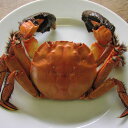 日本の上海蟹です。　　　　高津川のツガニ（川ガニ）「天然活きモクズガニ（オス）」1kg